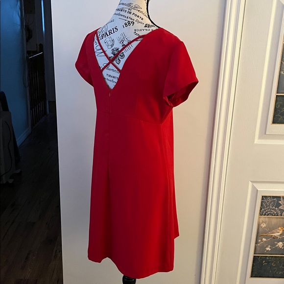 Chic Scarlet Mini Dress - Picture 11 of 13